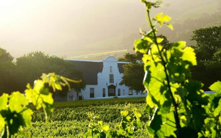 Groot Constantia
