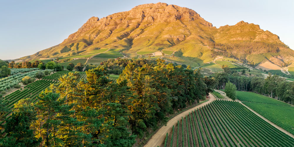 Stellenbosch