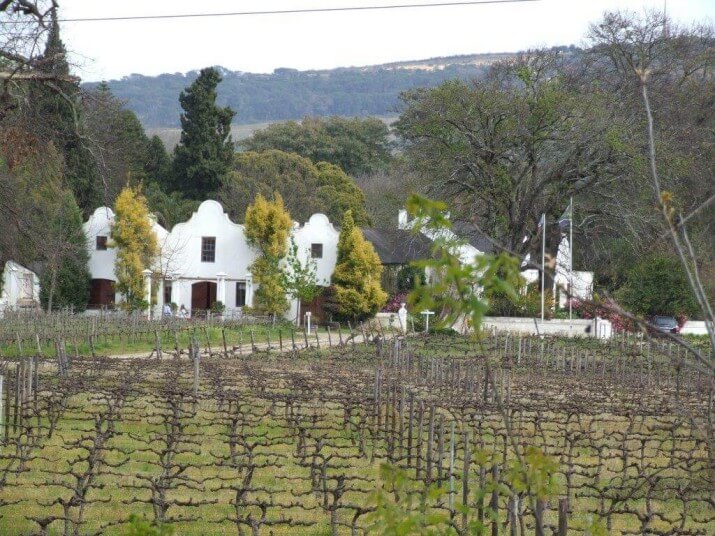 Kaapse Familie Wingerde