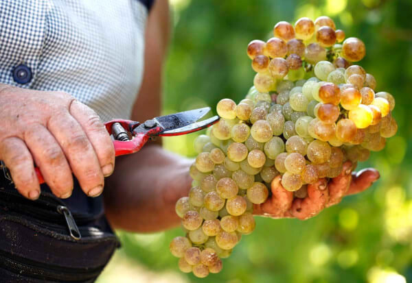 Quinta-do-Pinto-140yobPEyIANo7EG