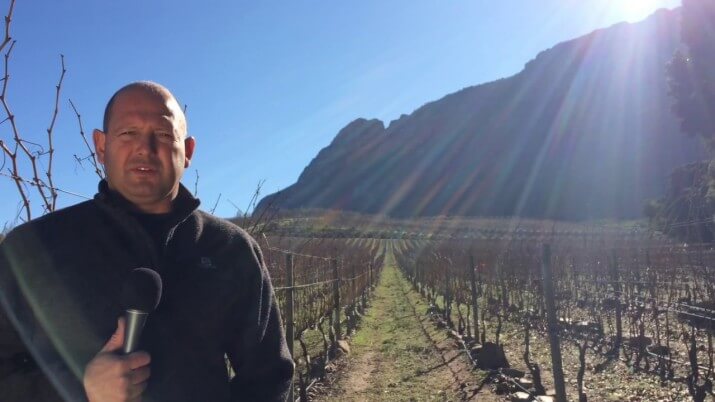 Schultz Family Wines