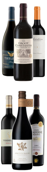 Südafrika Empfehlung vom Chef bis 20€ - Rotwein