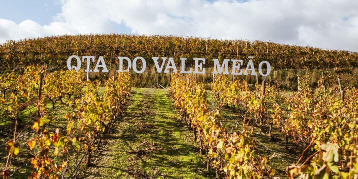 Quinta do Vale Meão