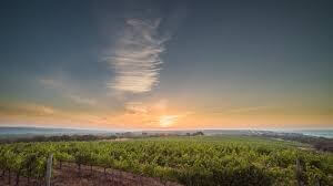 Herdade do Portocarro