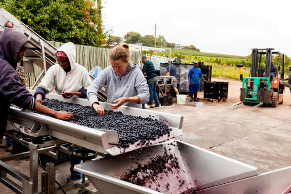 Catherine-Marshall-Wines-162