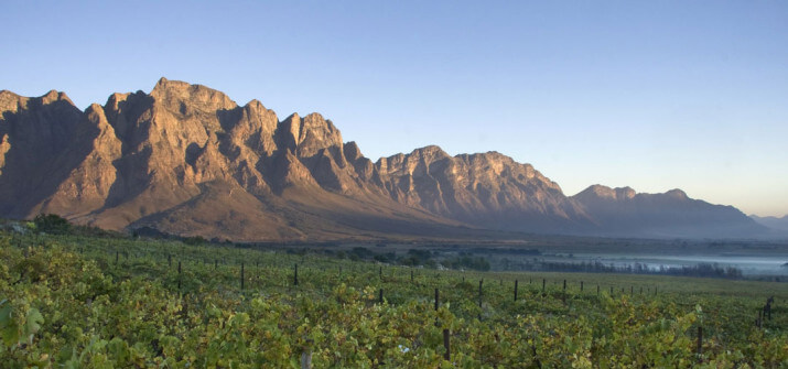 Jason's Hill Private Cellar