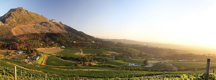 Constantia Glen